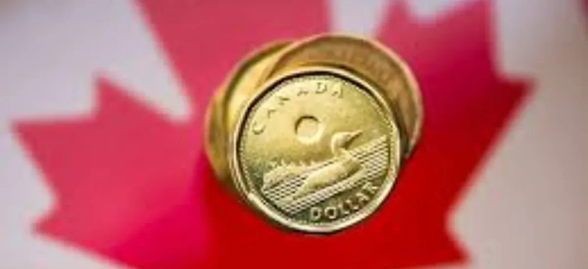 Lower Loonie May Not Be So Bad