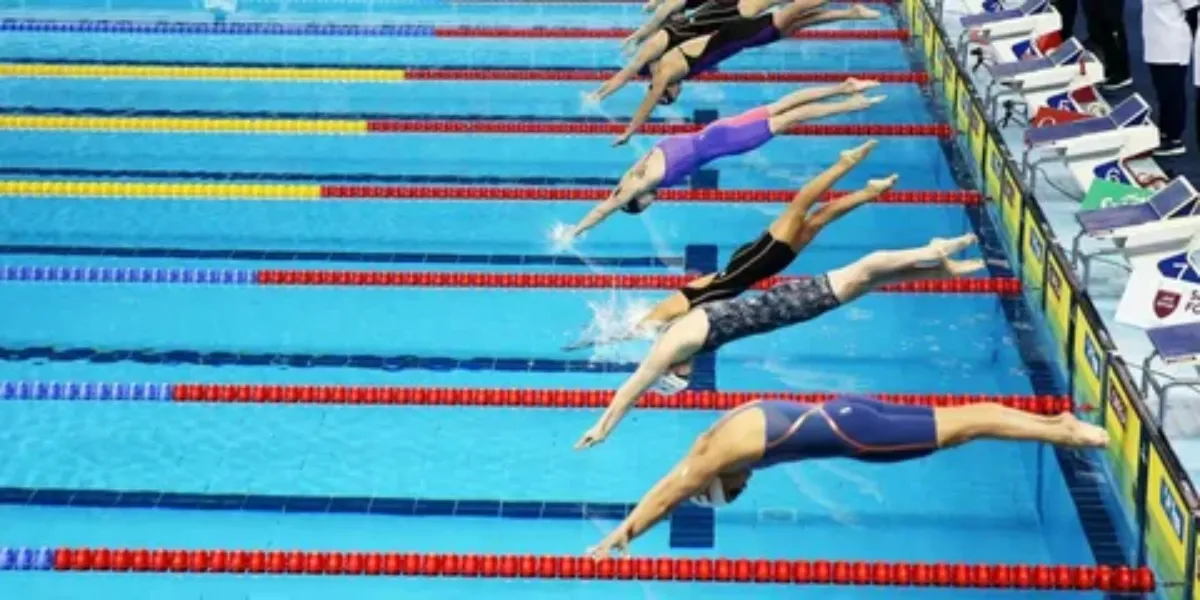 FINA Announcement: Updates And Developments In Aquatic Sports